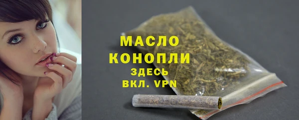 прущие грибы Надым