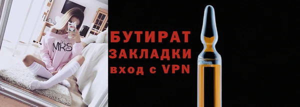 прущие грибы Надым