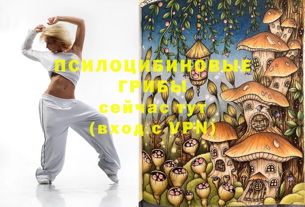 винт Михайловка