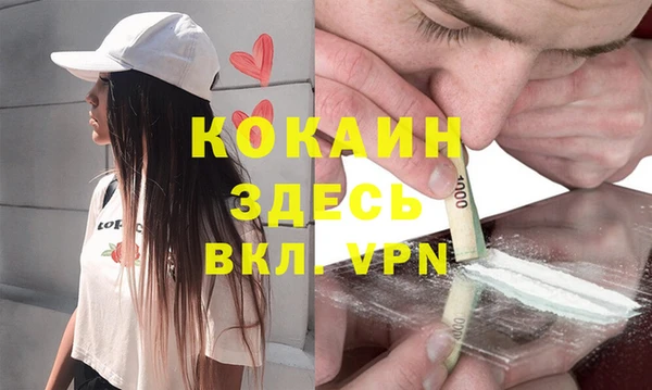 прущие грибы Надым