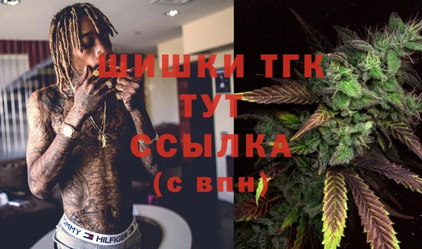 прущие грибы Надым