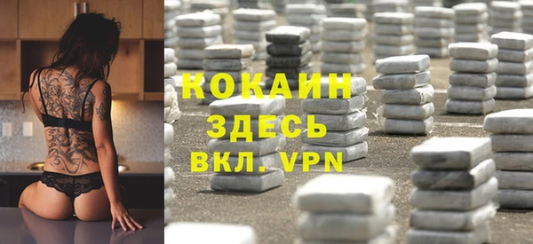 прущие грибы Надым