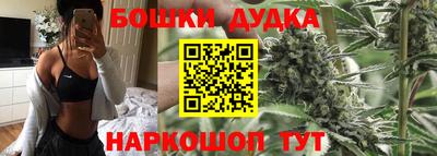 сатива Волгодонск